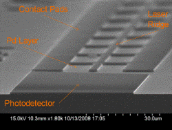 Lateral surface coated hydrogen sensor
